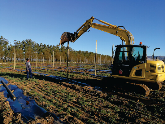Agricultural services in Grabouw Elgin Valley